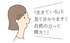 お声