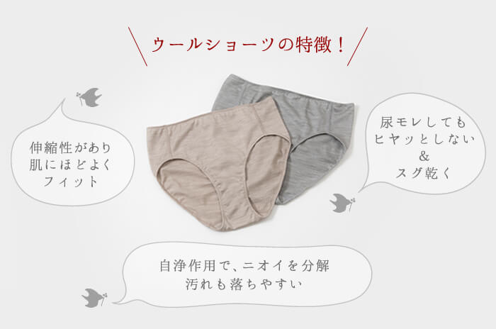 家庭内の姉妹のパンティの画像 