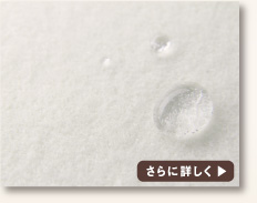 防水へのこだわり詳細ページへ